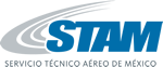 Publicaciones Técnicas STAM